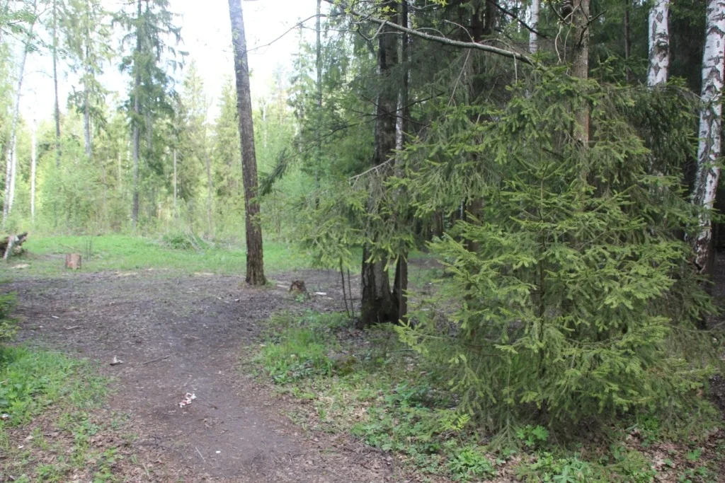 Аренда банкетной беседки «МИНУТОМЕР» в клубе «Блиндаж»