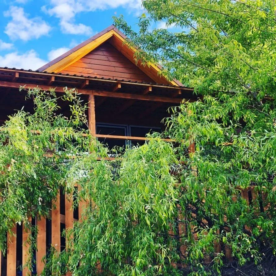 Аренда беседки «Терем» на 15 человек в парке «Печерские пески»