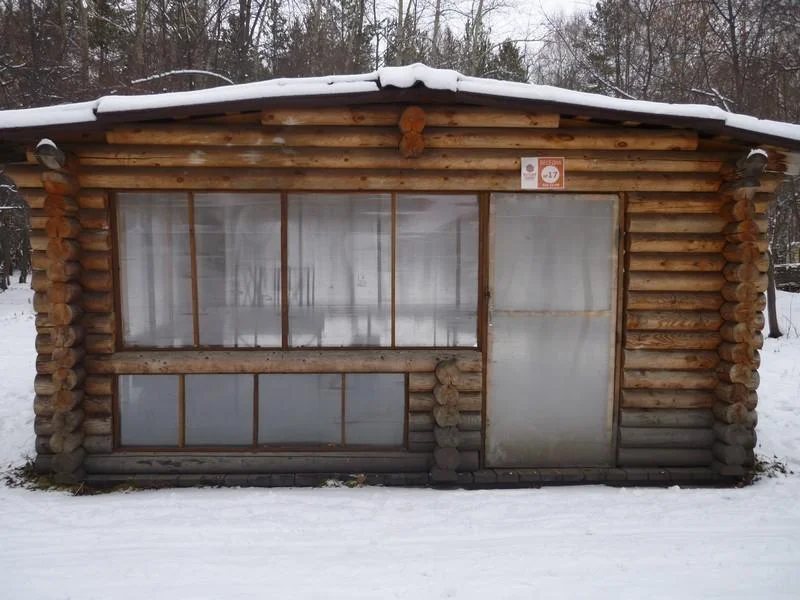 Открытые и закрытые беседки с мангалами в лесу в Парке Победы