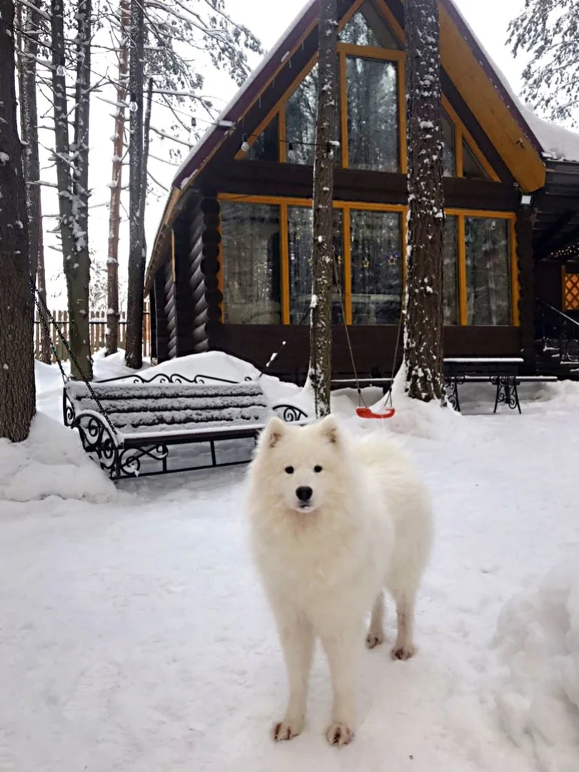 Отдых в уютном гостевом доме / беседки на 12 человек в Перми