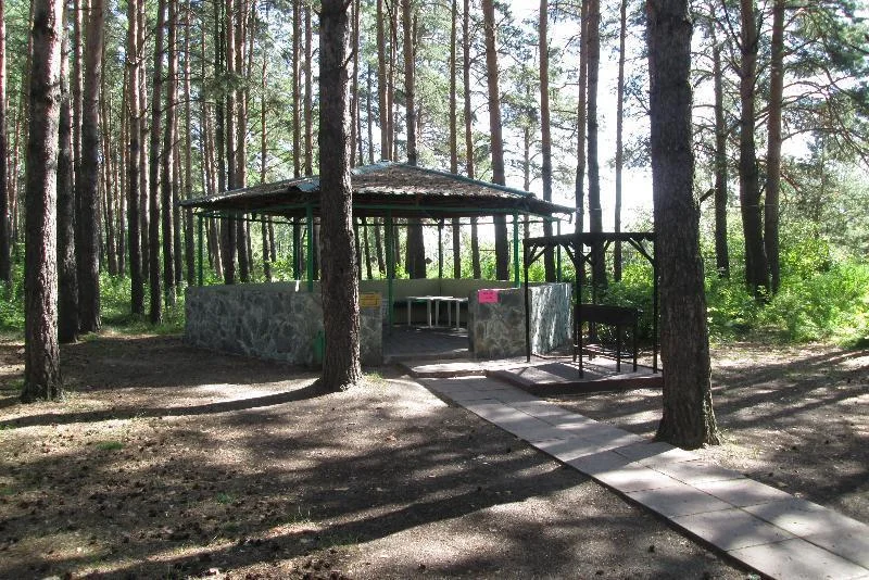 Аренда беседки (Бердск) санаторий «Лазурный»