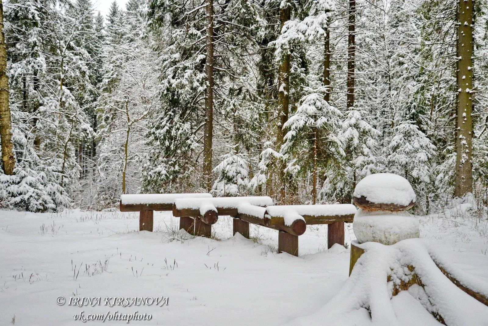 Избушка Домик Деда Мороза (до 15 человек)