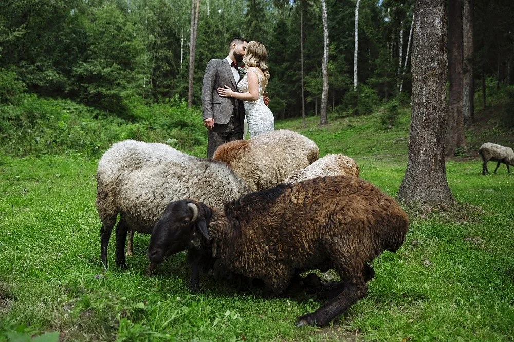 Шатер для Свадьбы / «Площадка РИВЬЕРА» на территории «Горкий холидей»