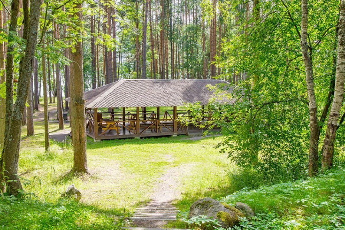 Навес в аренду, турбаза Лосевская, Ленинградская область