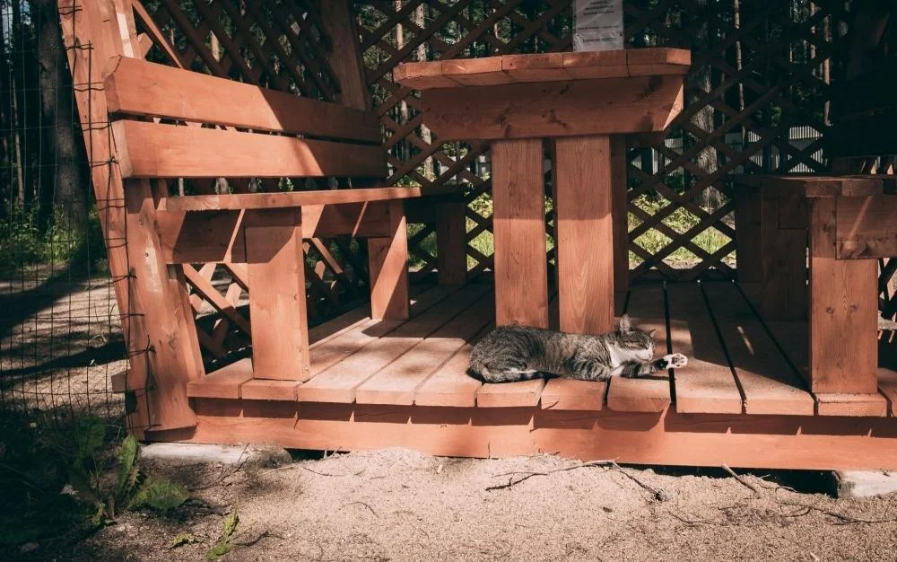 База активного отдыха Пикник сдает в аренду беседку