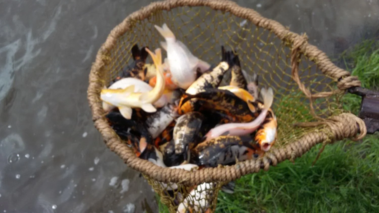 Теплая беседка у воды до 15 человек на базе отдыха «Озеро Медвежье»