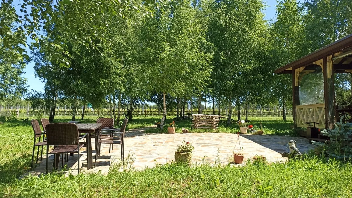 Аренда площадки с беседкой до 50 гостей на винограднике KULAKOVO
