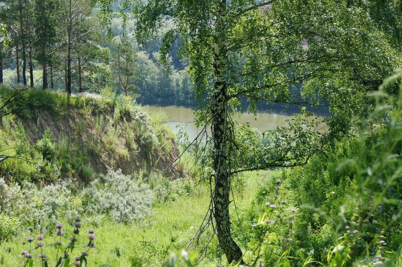 Шатер-Кафе на 15 человек в Горнолыжном клубе «Корел-Иня»