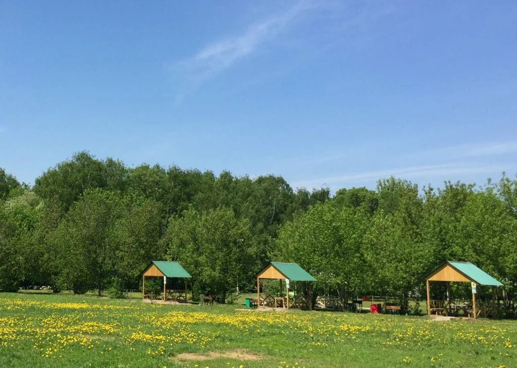 Мангальные площадки на территории Парк Отель Куркино