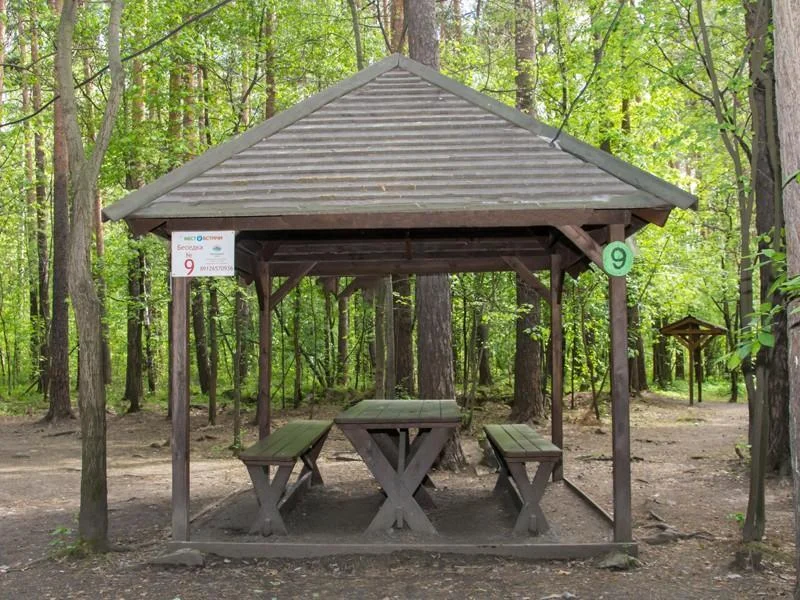 Летние беседки на Каменном Пляже от 10 до 20 человек