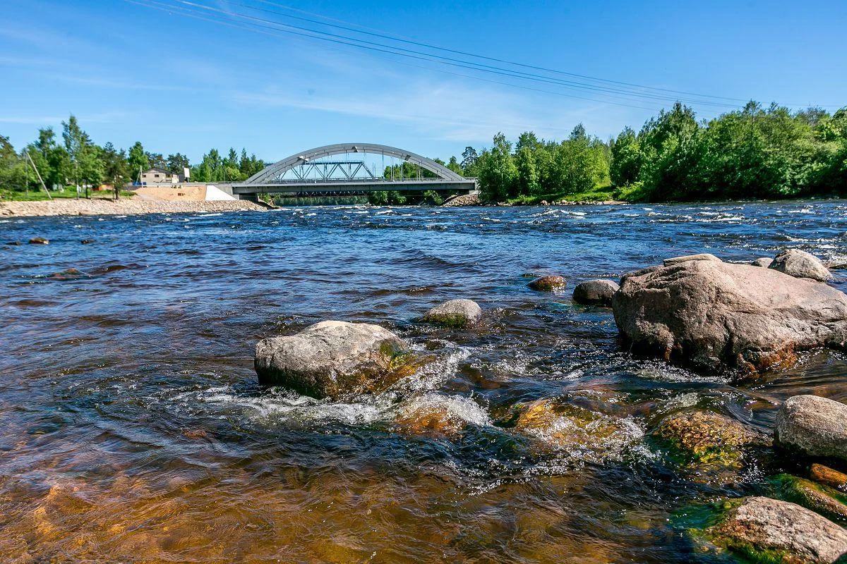 Коричневая беседка возле Пироговского водохранилища на 10 человек