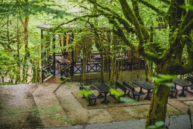 Пикник в Сочи в большой беседке на территории «Навалишенское ущелье»