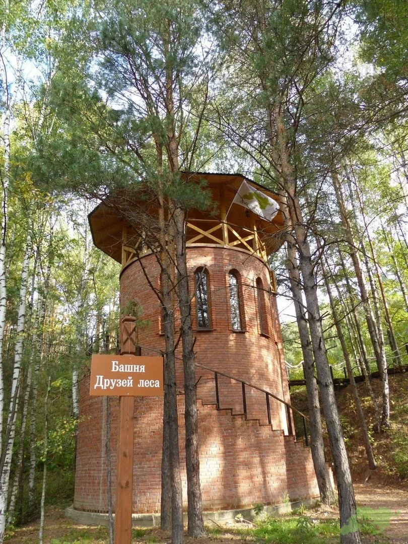 Открытая пикниковая зона на 40 человек