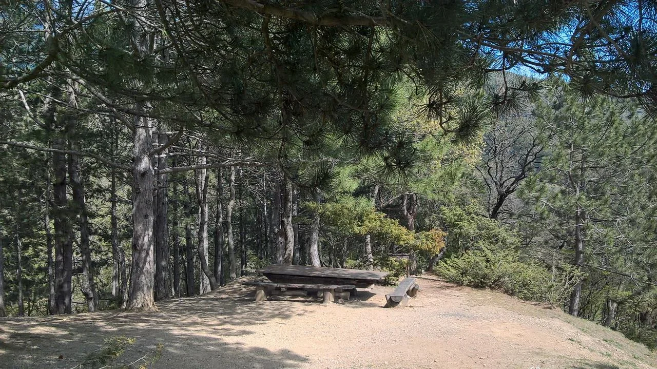 Беседки у воды с мангалом для шашлыка в Васильевке