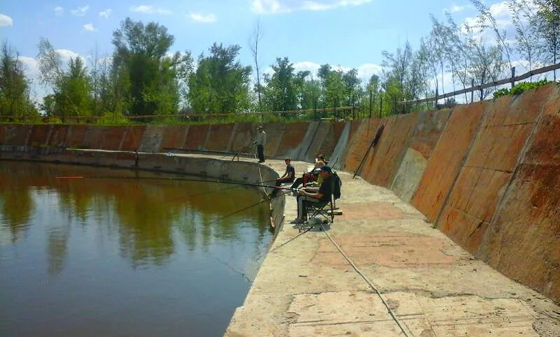 Беседки с мангалом для шашлыка в аренду “У Михалыча”