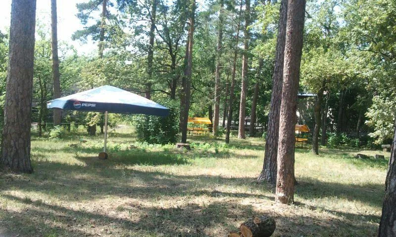 Мангальные зоны и беседки на базе отдыха “Солнечный”