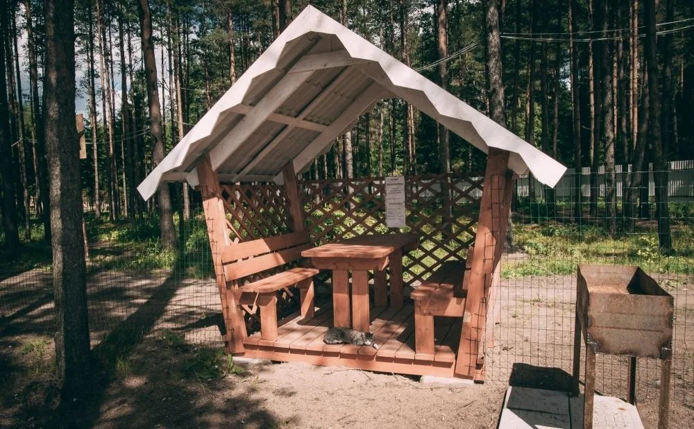 База активного отдыха Пикник сдает в аренду беседку
