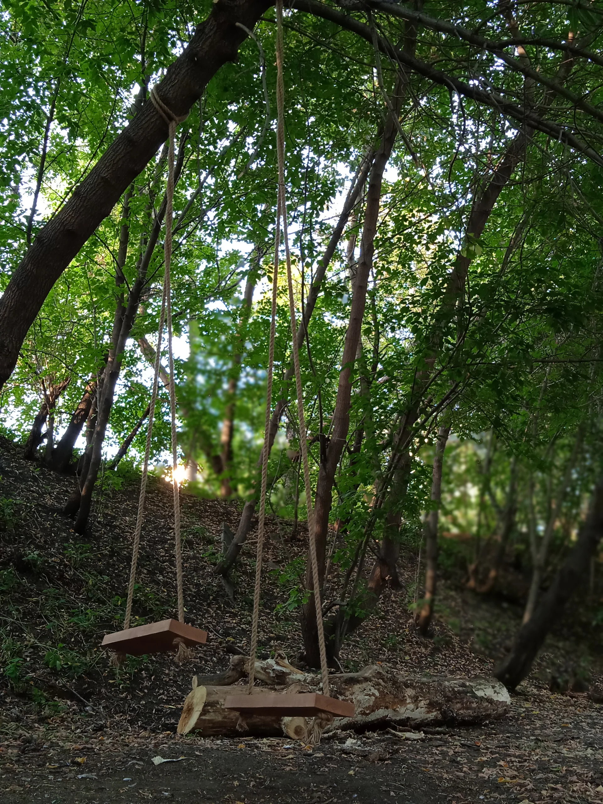 Гриль-парк Скандинавия