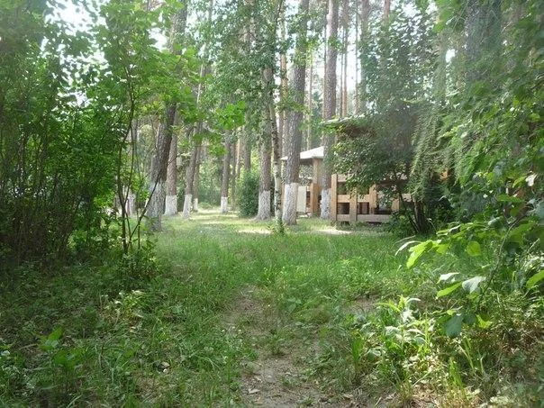 Аренда беседок в Балатовском Парке г.Пермь