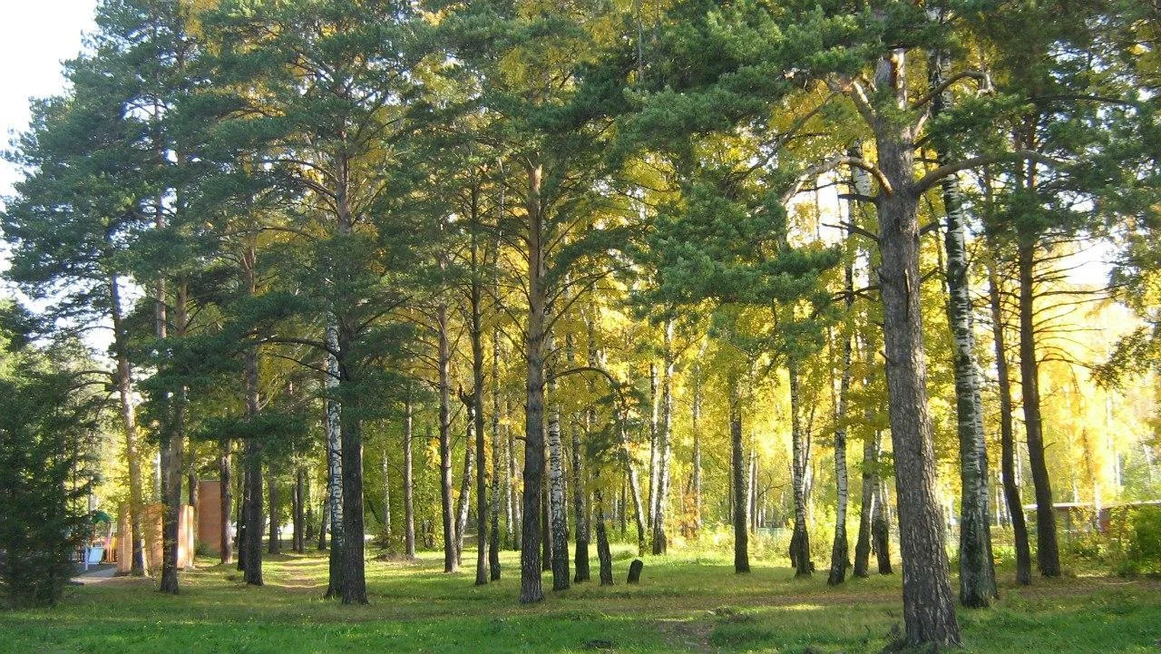 Теплый домик в Сосновом Бору на 20 человек