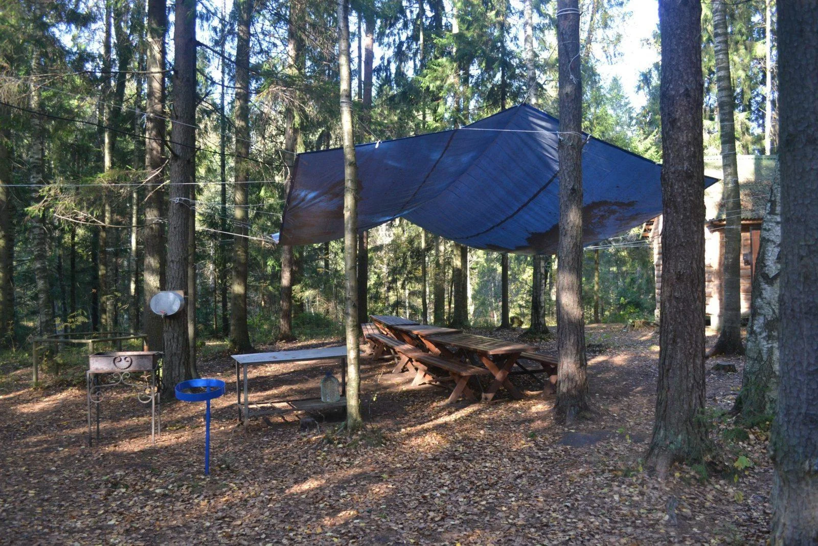 Место для пикника на территории парка Зубровник (до 30 человек)