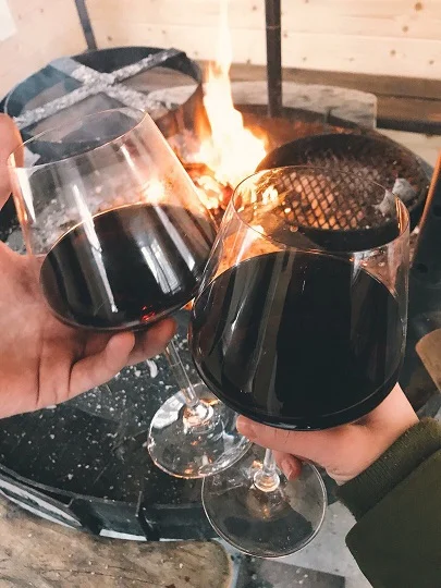 Отдых в гриль домике «Greenvald» на 20 человек