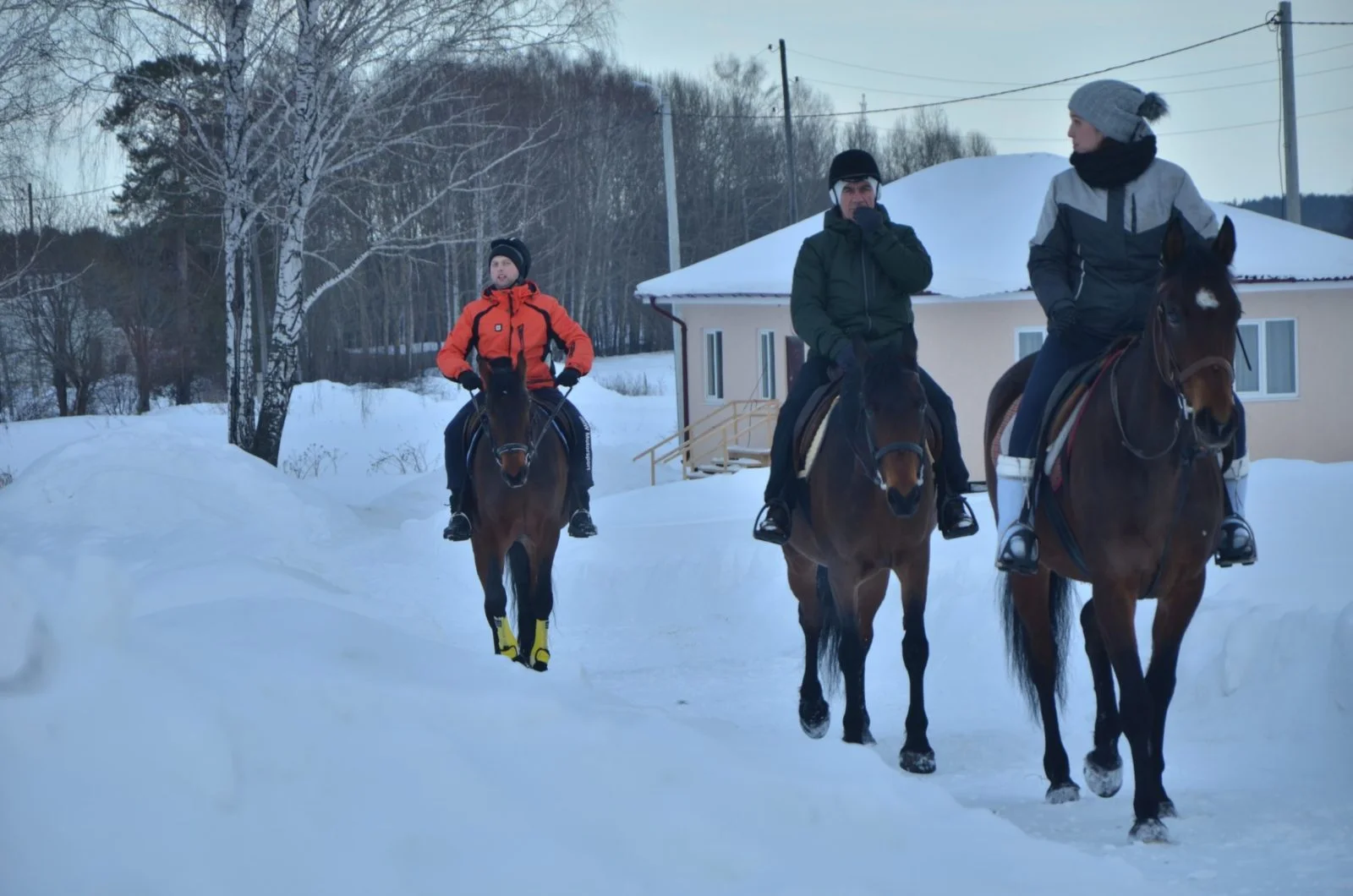 Гриль-домики в конном клубе