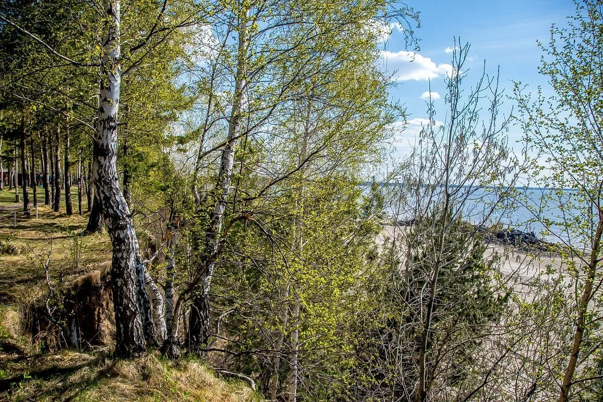 Беседка для шашлыка в Бердске — Парк отдыха «На Камнях»