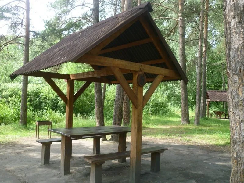 Пикниковые места с мангалами до 10 человек в Парке Победы