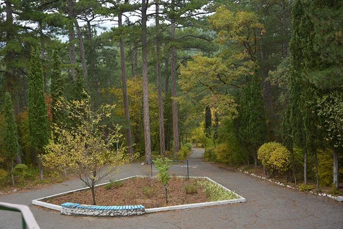 Снять мангальную площадку в «санатории Долоссы»