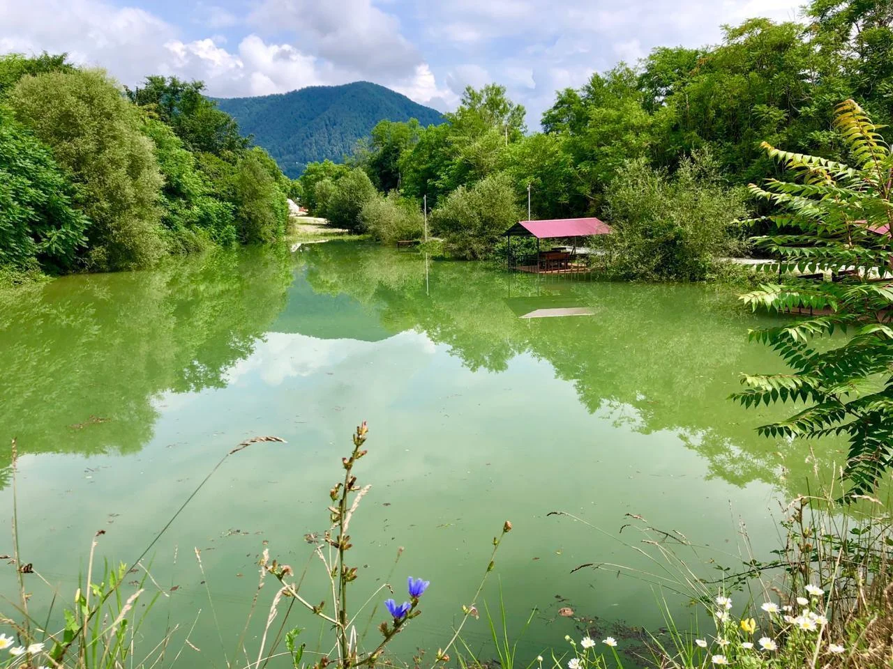 Пикник у озера с рыбалкой на территории таверни «Вертолетчик»
