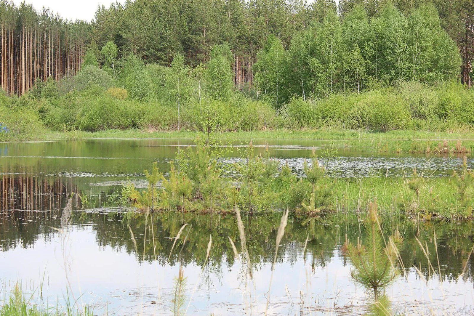 Уютное, открытое костровище для большой компании в Свердловской области