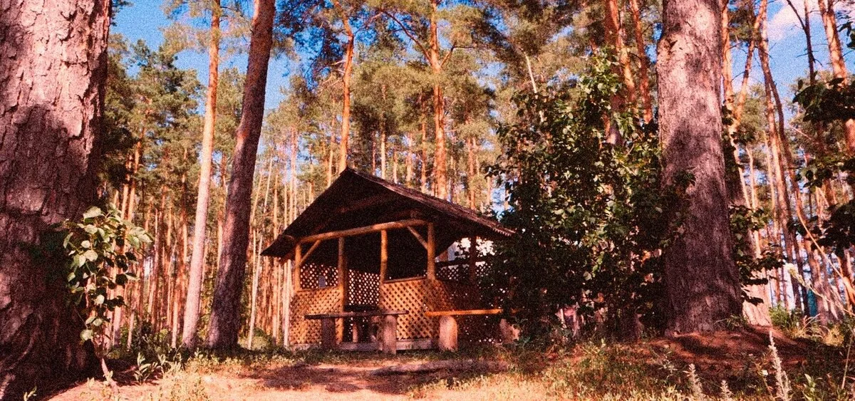 Беседка (до 10 чел.)