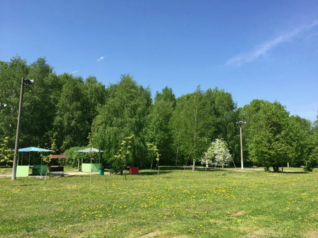 Мангальные площадки на территории Парк Отель Куркино