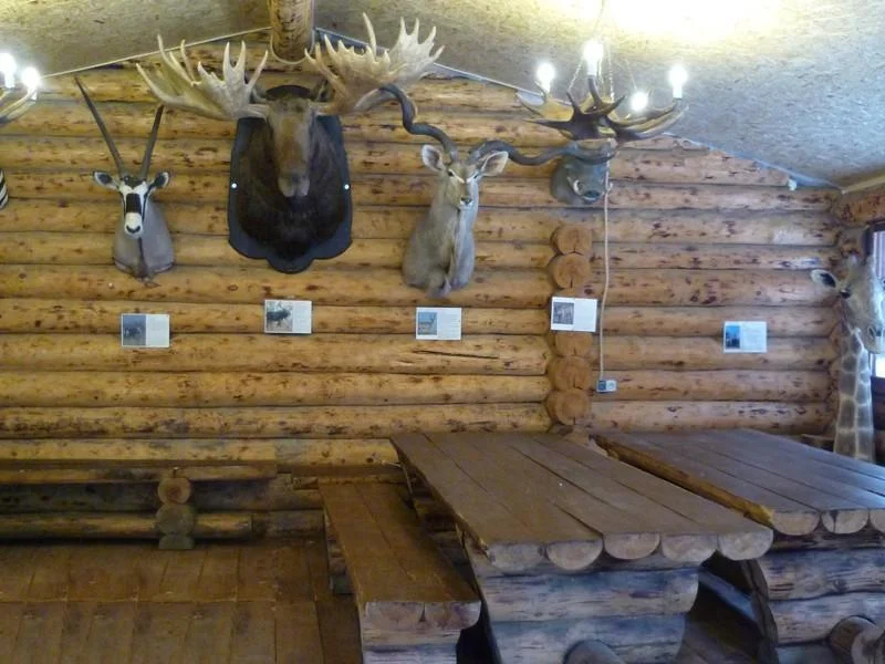 Большая беседка «Домик Охотника» до 40 человек в Парке Победы