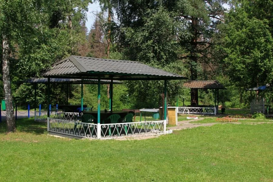 Беседки для шашлыка в оздоровительном комплексе “Десна”