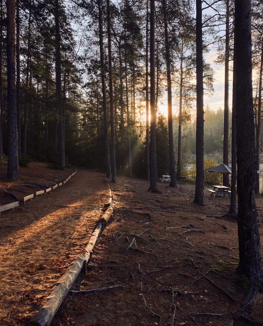Отдых в летних беседках на берегу в парка «Greenvald» до 8 человек