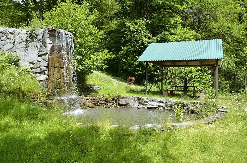 Снять гостевых домиков на территорий Ачигварского озера