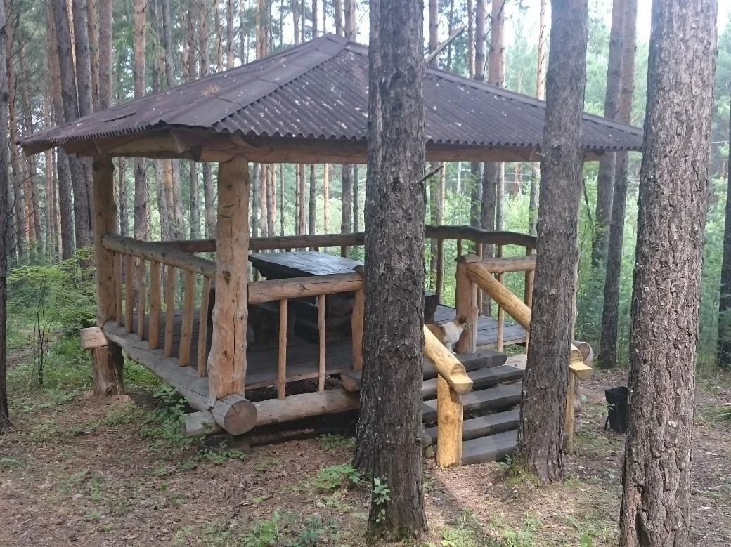 Аренда беседок в Дивном Бору г. Красноярск