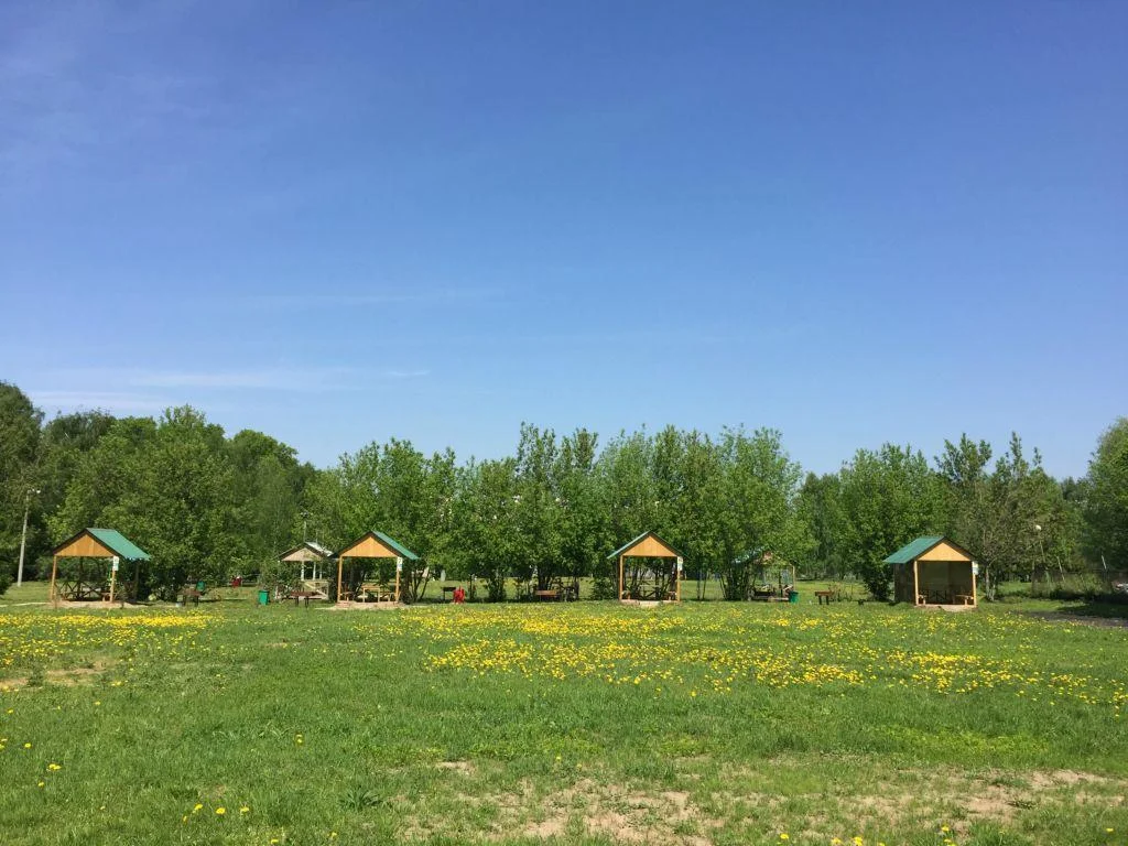 Большая беседка на 30 человек в Парк Отель Куркино