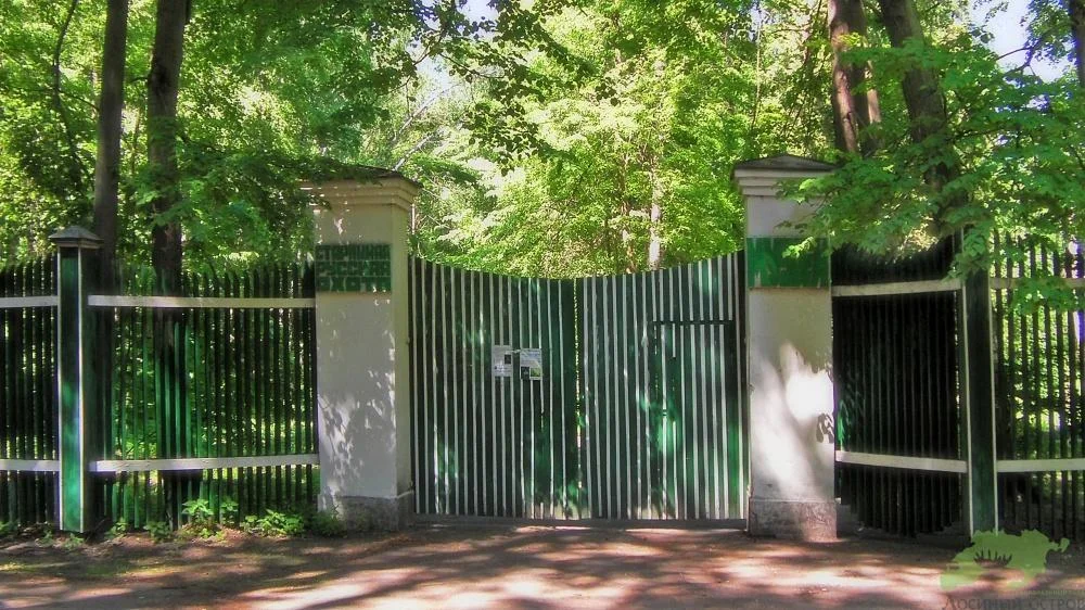 Аренда веранды на 40 человек для корпоративных мероприятий