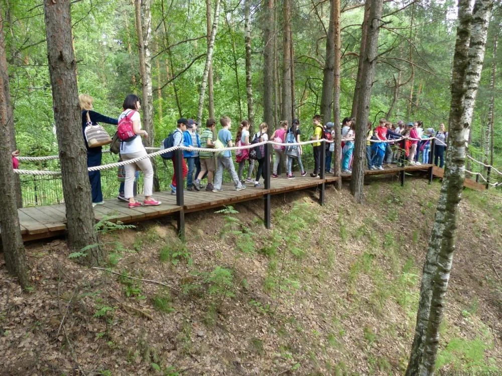 Деревянные беседки в аренду на 15 человек