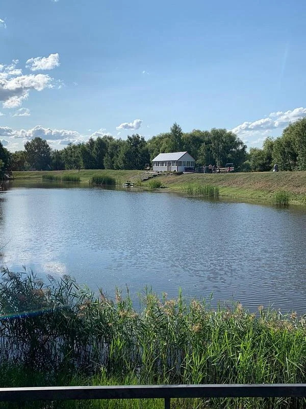 Веранда на берегу реки и мангальная зона в аренду на базе отдыха «Подсолнухи»