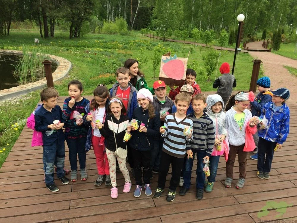 Деревянные беседки в аренду на 15 человек