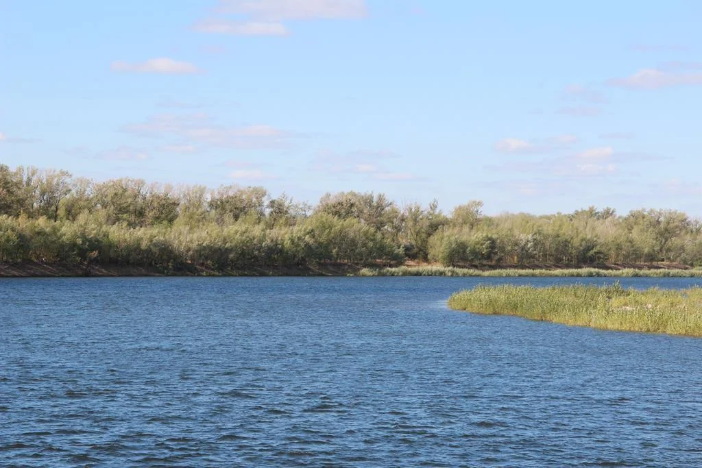Мангальные зоны и беседки на базе отдыха “Изумруд”