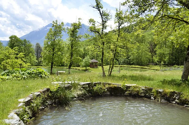 Снять гостевых домиков на территорий Ачигварского озера