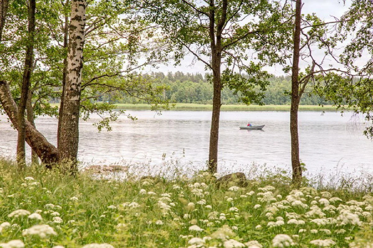 Навес в аренду, турбаза Лосевская, Ленинградская область