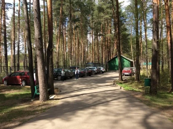 Княжья речка, база отдыха — фото 2
