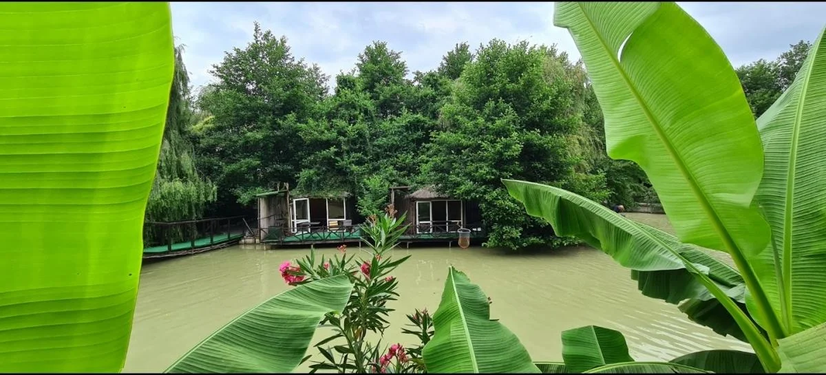 Пикник в беседках на територии Ачигварского озера рассчитаны до 15 человек