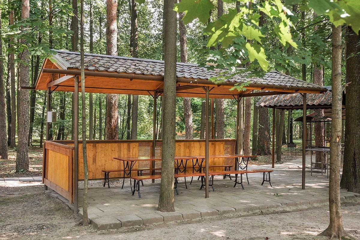 Площадки для барбекю в Апартотель Нагорное